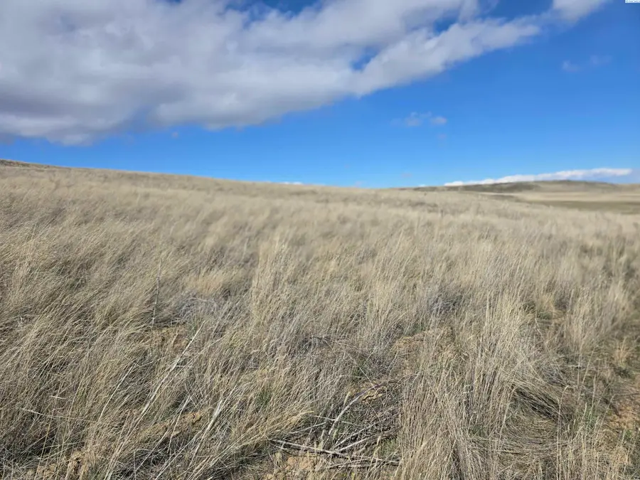 15284 Mabton-bickleton Rd, Mabton, WA 98935 - #2