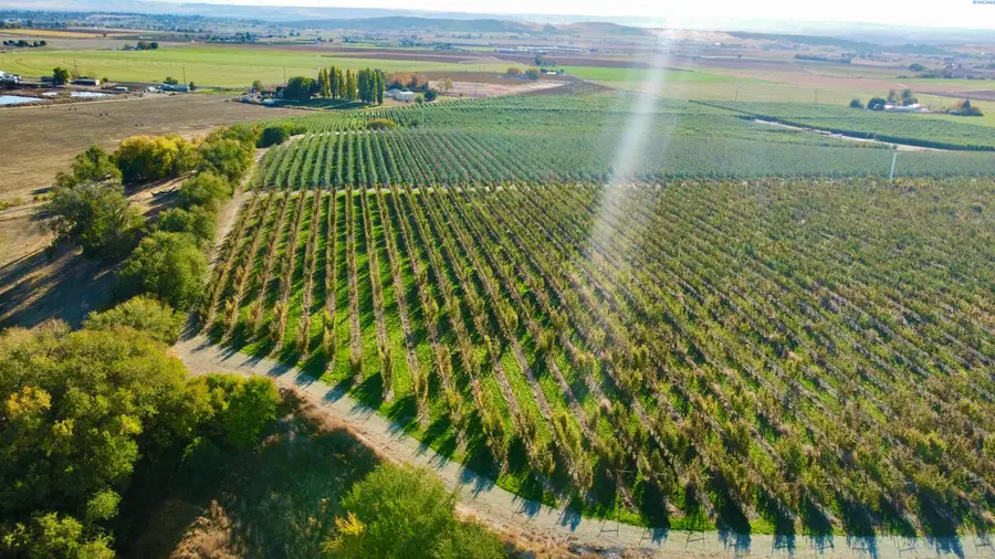 1870 Phipps Rd., Sunnyside, WA 98944 - #2