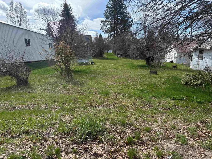 TBD E Bluff St, Palouse, WA 99161 - #3