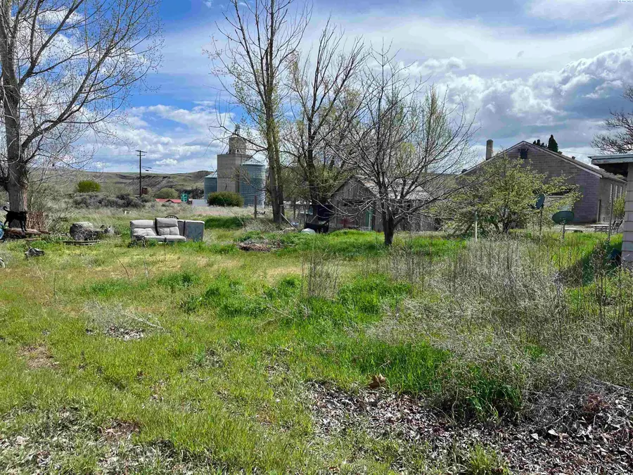 120 N Violet Ave, Kahlotus, WA 99335 - #2