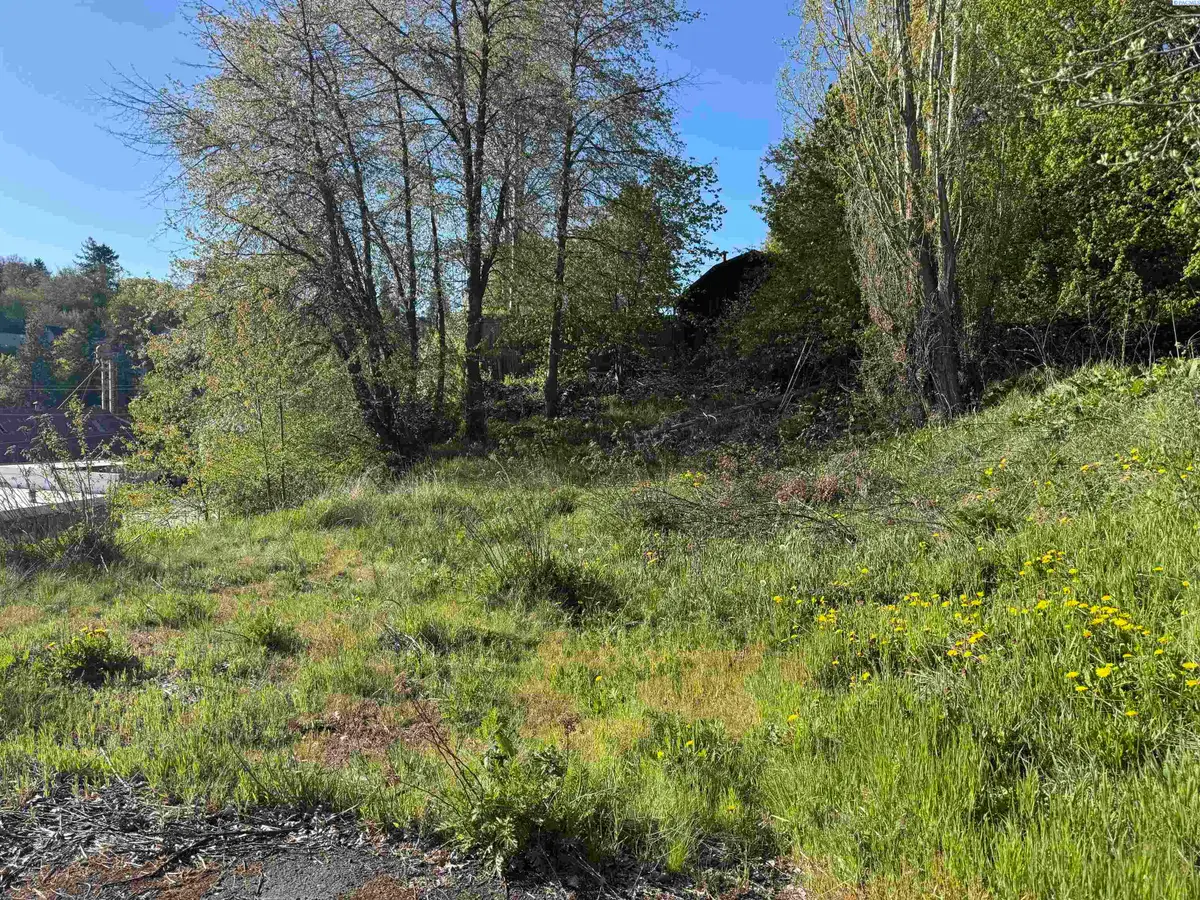 129 NW True, Pullman, WA 99163 - #1