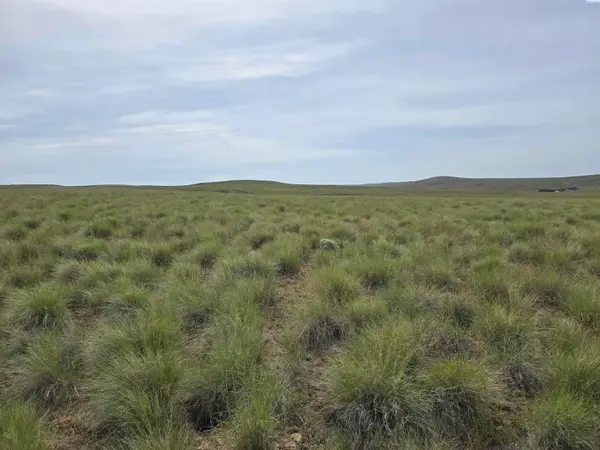 25 Turpin Rd (lot 5), Mabton, WA 98935