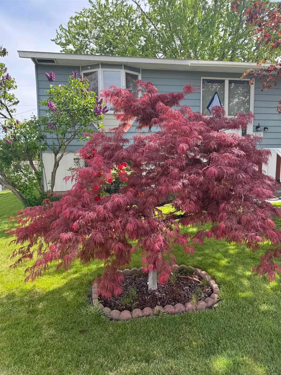 219 S Olson St, Kennewick, WA 99336 - #3
