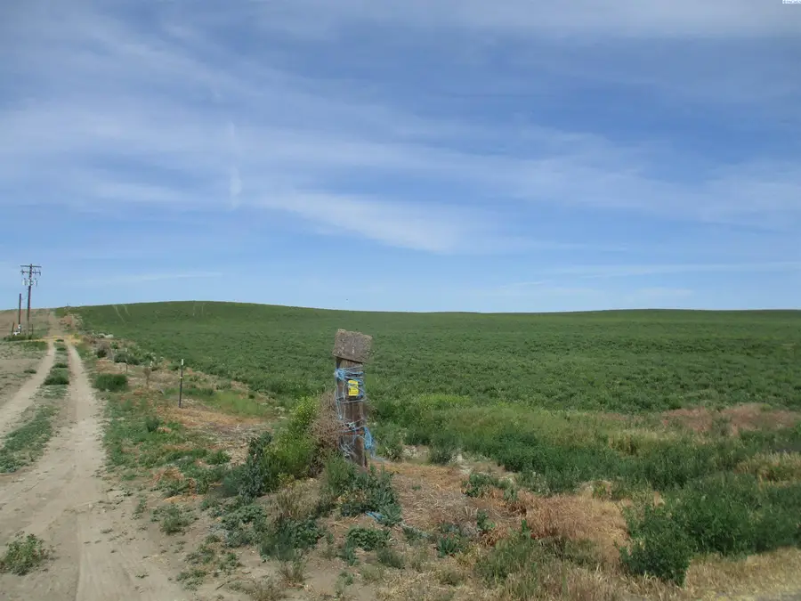 699 Cummins Road, Touchet, WA 99360 - #3