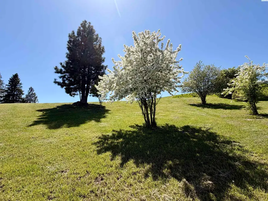 107 S 10th, Garfield, WA 99130 - #2