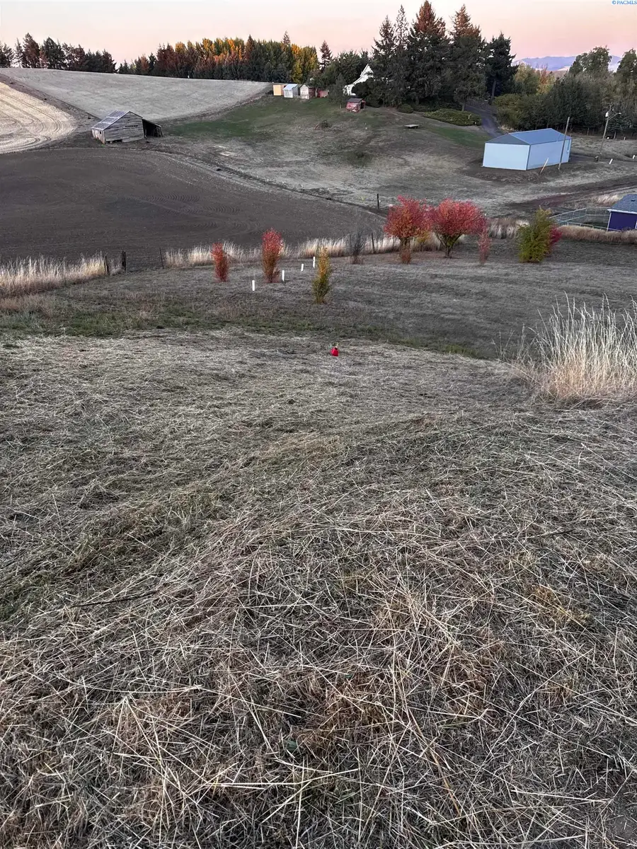 107 S 10th, Garfield, WA 99130 - #3