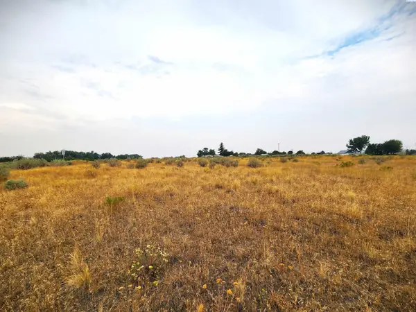 TBD Christy Rd., Plymouth, WA 99346