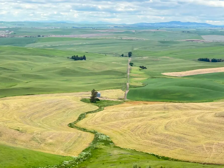 TBD File Road, Rosalia, WA 99170 - #2