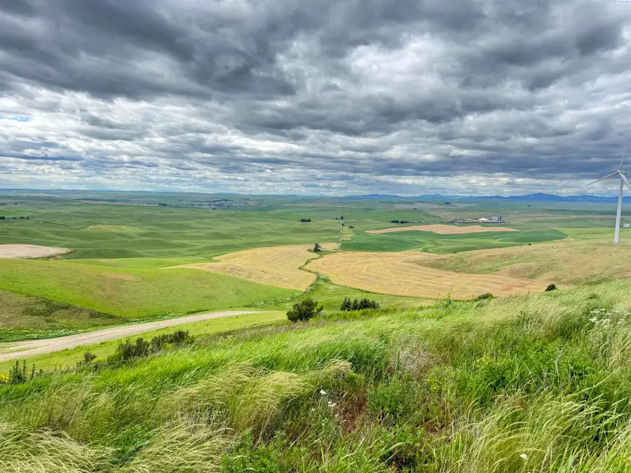 TBD File Road, Rosalia, WA 99170 - #3