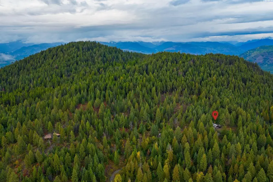 2518 A Bodie Mountain Road, Colville, WA 99114 - #3