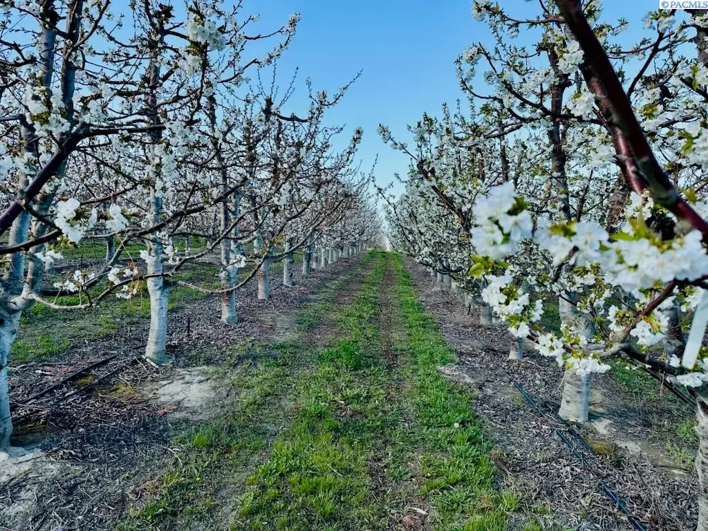 TBD E Terril, Kennewick, WA  - #1