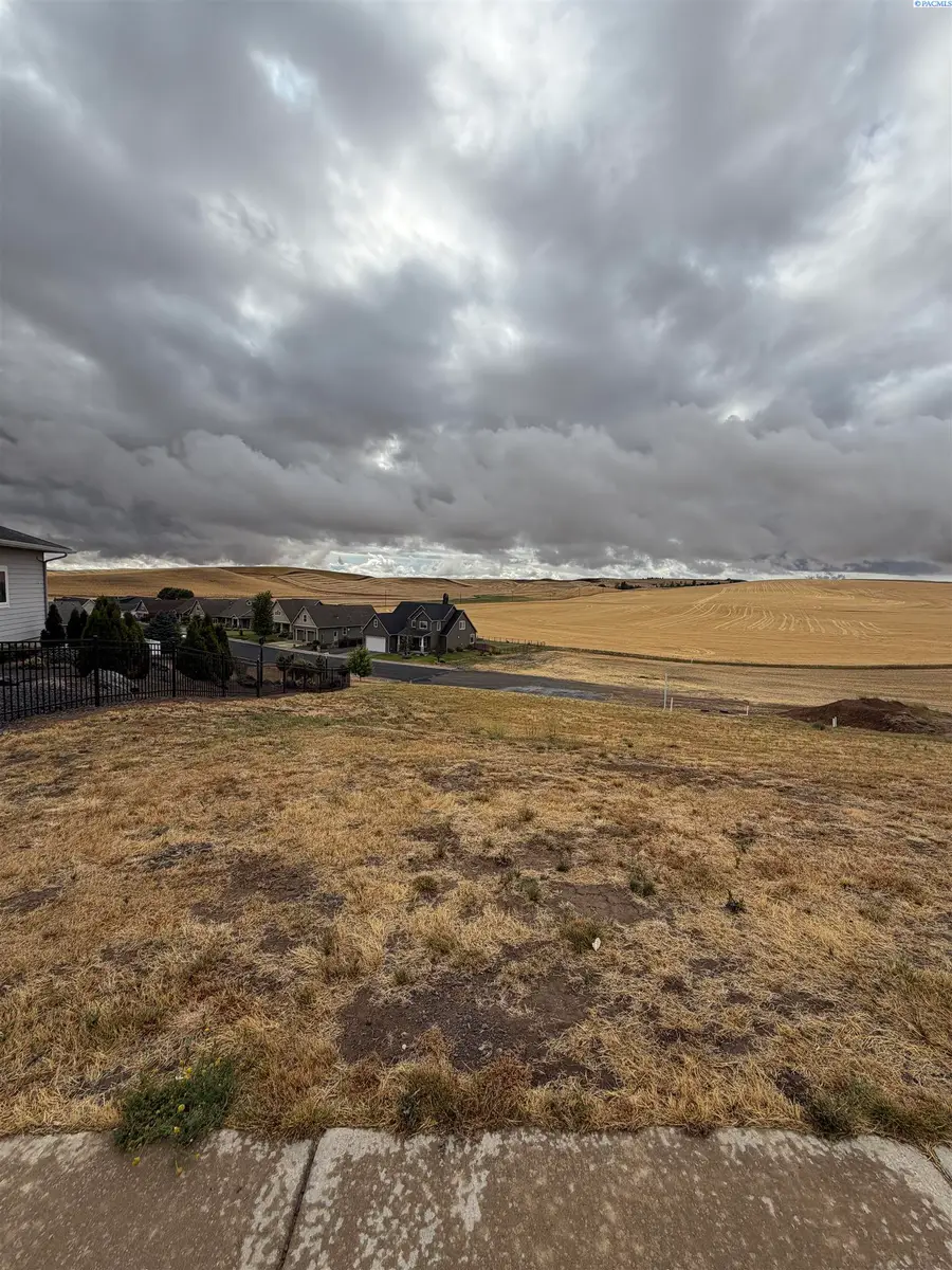 1123 Line Court, Colton, WA 99113 - #2