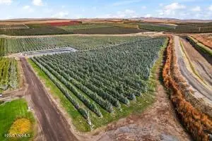 370 Macy Rd, Zillah, WA 98953 - Image #2