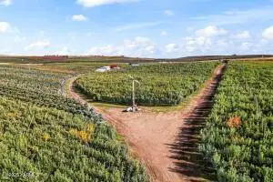 370 Macy Rd, Zillah, WA 98953 - Image #3