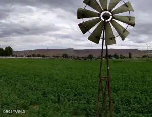 161802 W Buena Vista Rd, Prosser, WA 99350 - Image #2