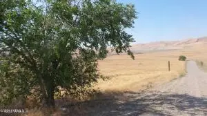 NNA Cheyne Rd, Zillah, WA 98953