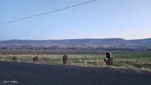 163106 W North River Rd, Prosser, WA 99350 - Image #2