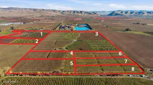NKA Lateral 1 & B Rd #1, Wapato, WA 98951 - #2