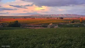 125498 W Mccreadie Rd, Prosser, WA 99350