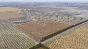 2693 Kays Rd, Wapato, WA 98951 - #3