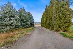 171 W Taylor Rd, Selah, WA 98942 - #3