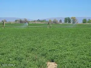 NKA Green Valley Rd, Sunnyside, WA 98944 - #2