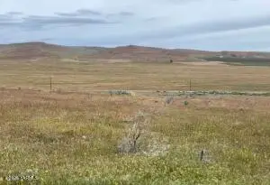 149590 W Sr 24 Hwy, Sunnyside, WA 98944