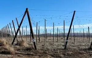 7801 Campbell Rd, Toppenish, WA 98948