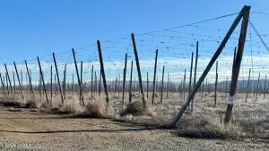 7801 Campbell Rd, Toppenish, WA 98948 - #2