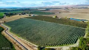 1870 Phipps Rd, Sunnyside, WA 98944