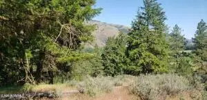 NKA Nile Rd, Naches, WA 98937 - #3