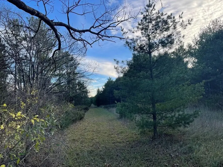 TBD Birch Rd, Baileys Harbor, WI 54202 - Image #3