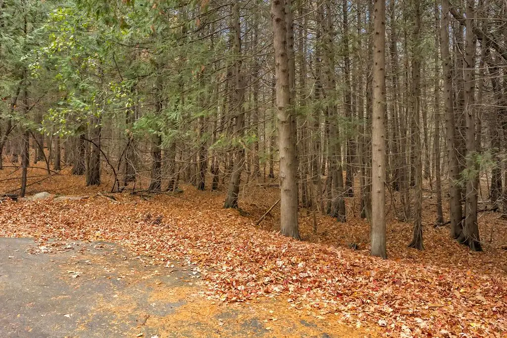 TBD Maple Ridge Rd, Egg Harbor, WI 54209 - Image #1