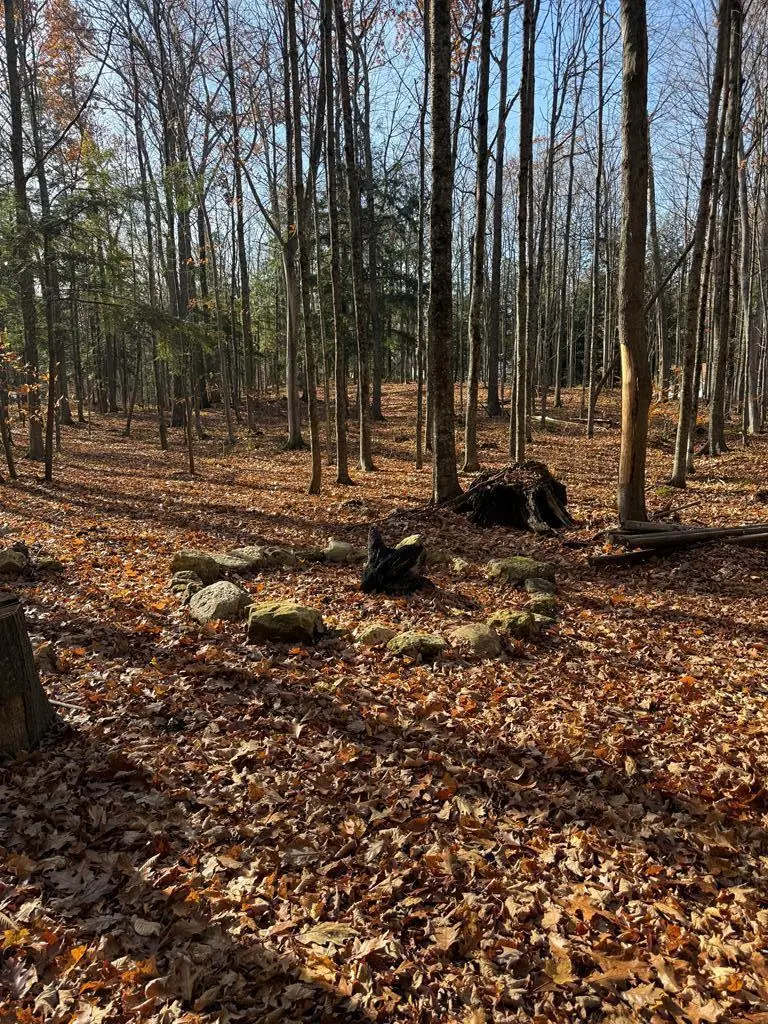 TBD Hy Line Trail, Sturgeon Bay, WI 54235 - Image #1