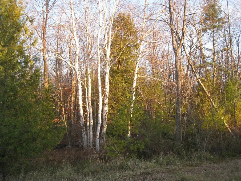 Triangle Rd, Fish Creek, WI 54212 - Image #1