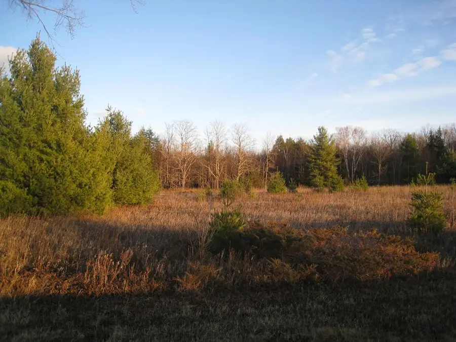 Triangle Rd, Fish Creek, WI 54212 - Image #2