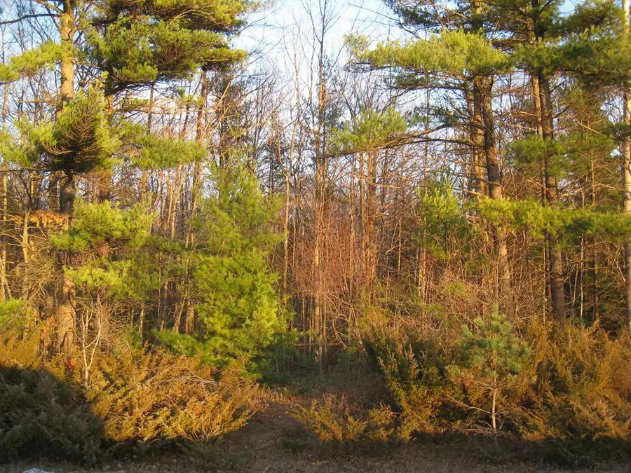 Triangle Rd, Fish Creek, WI 54212 - Image #3