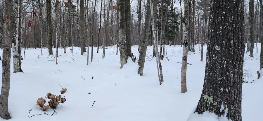 8107 Deer Ridge Ct, Baileys Harbor, WI 54202 - Image #3