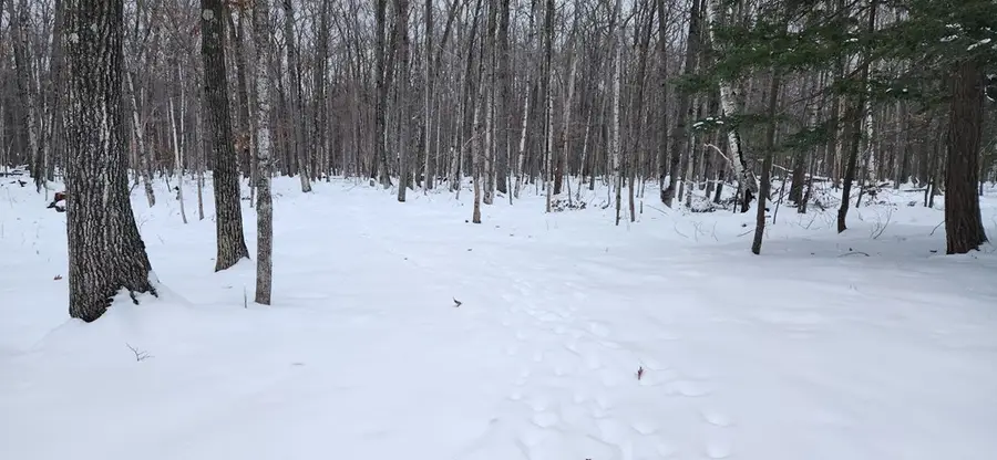 8108 Deer Ridge Ct, Baileys Harbor, WI 54202 - Image #2