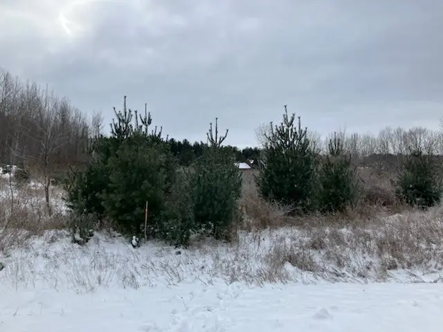 Park Side Rd, Sturgeon Bay, WI 54235 - Image #2