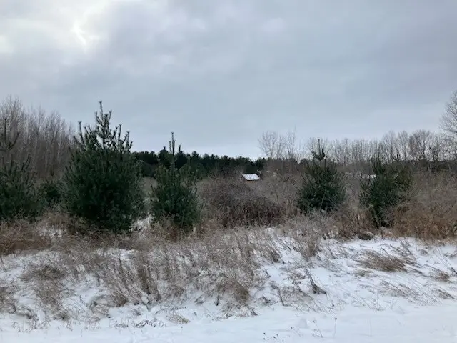 Park Side Rd, Sturgeon Bay, WI 54235 - Image #3