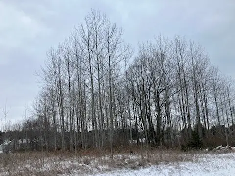 Park Side Rd, Sturgeon Bay, WI 54235 - Image #2