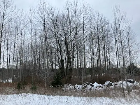 Park Side Rd, Sturgeon Bay, WI 54235 - Image #3