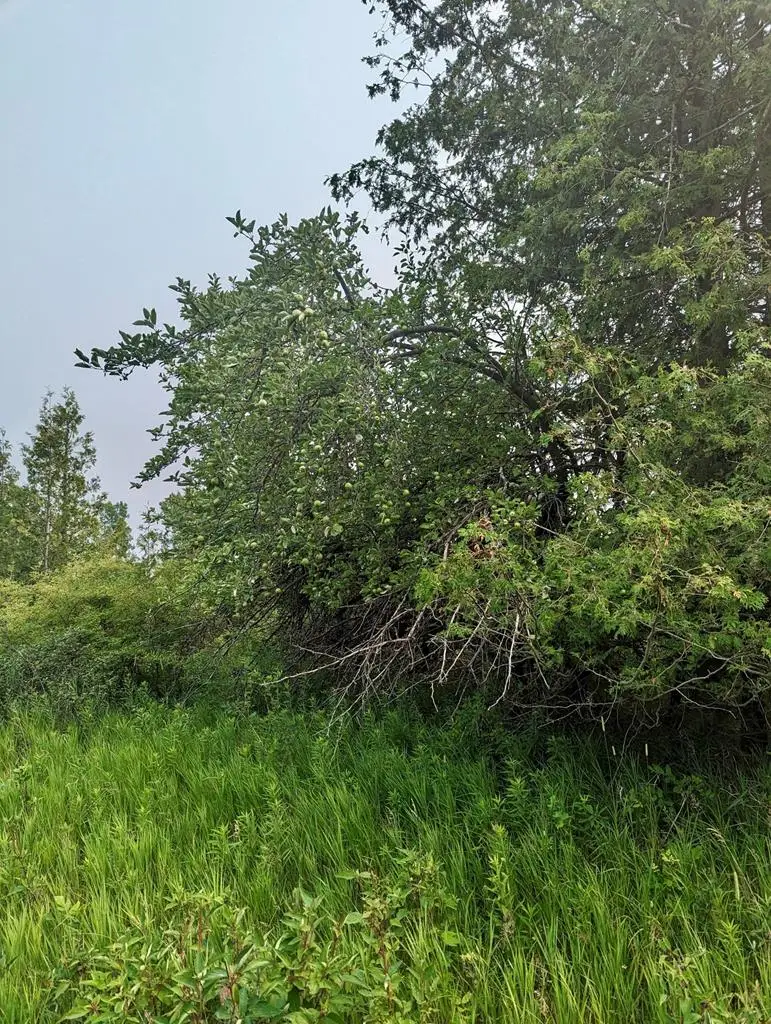 Lot 8 Golf View Ln, Sturgeon Bay, WI 54235 - Image #3