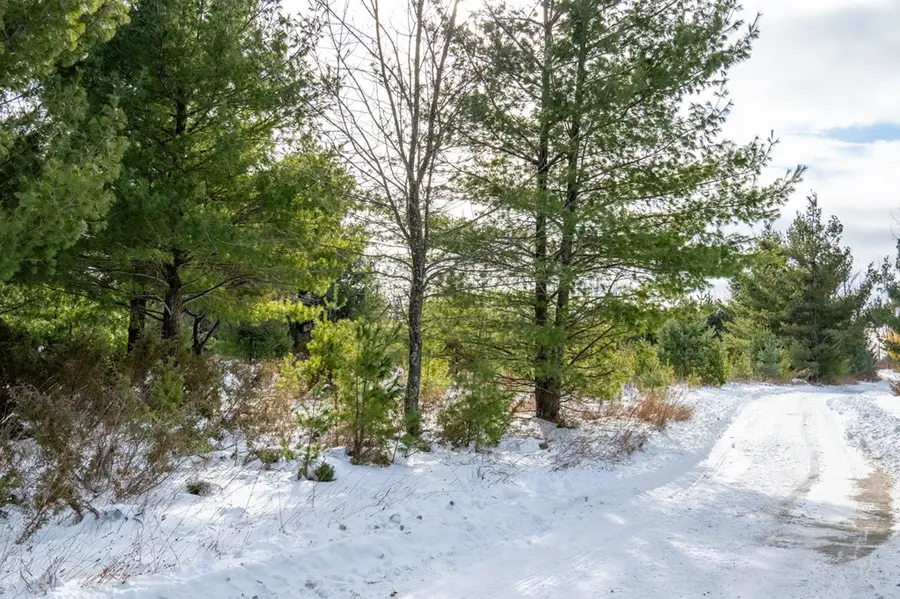 Lot 3 Settlement Woods Tr, Liberty Grove Town, WI 54234 - Image #3
