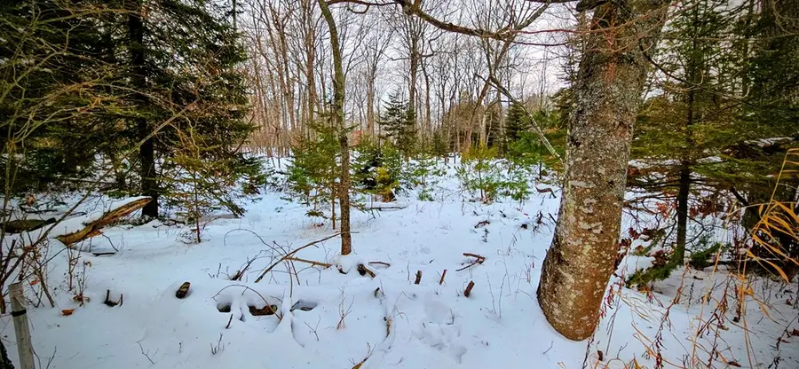 4303 Glidden Dr, Sturgeon Bay, WI 54235 - Image #3