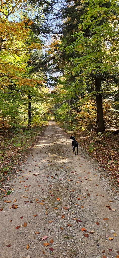 Chambers Island, Gibraltar, WI 54212 - Image #3