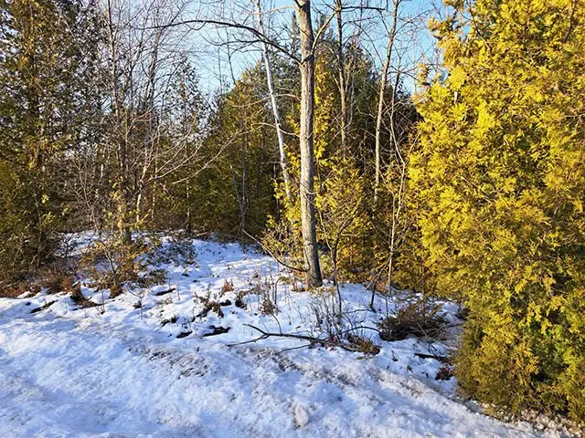 County Rd E, Baileys Harbor, WI 54202 - Image #2