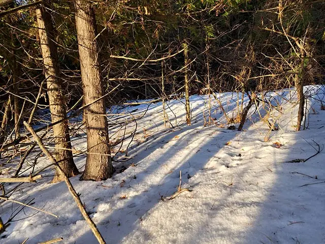 County Rd E, Baileys Harbor, WI 54202 - Image #3