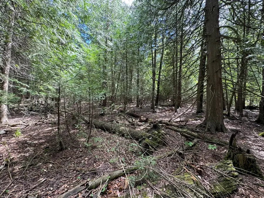 Lot 1 Horseshoe Bay Rd, Egg Harbor, WI 54209 - Image #3